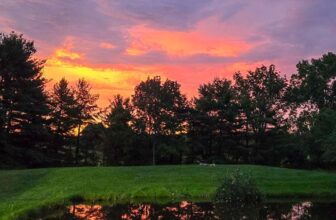 The Little Issues Publication #475 – Life, laughter, and plenty of nice meals!