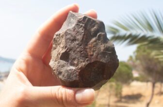 The Land Bridge You’ve got By no means Heard Of