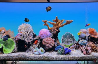 You do not want a brand new Roku; you want to clear the cache