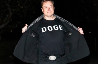 DOGE Is Formally Useless