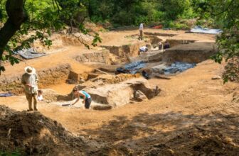 This 400,000-12 months-Outdated Campfire May Rewrite Human Historical past