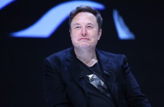 Part 230 Would not Cowl Elon Musk’s Ass When It Involves Deepfake Abuse, Senator Says