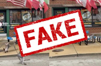 AI Pictures Create Confusion as Actual Gang of Monkeys Roams St. Louis